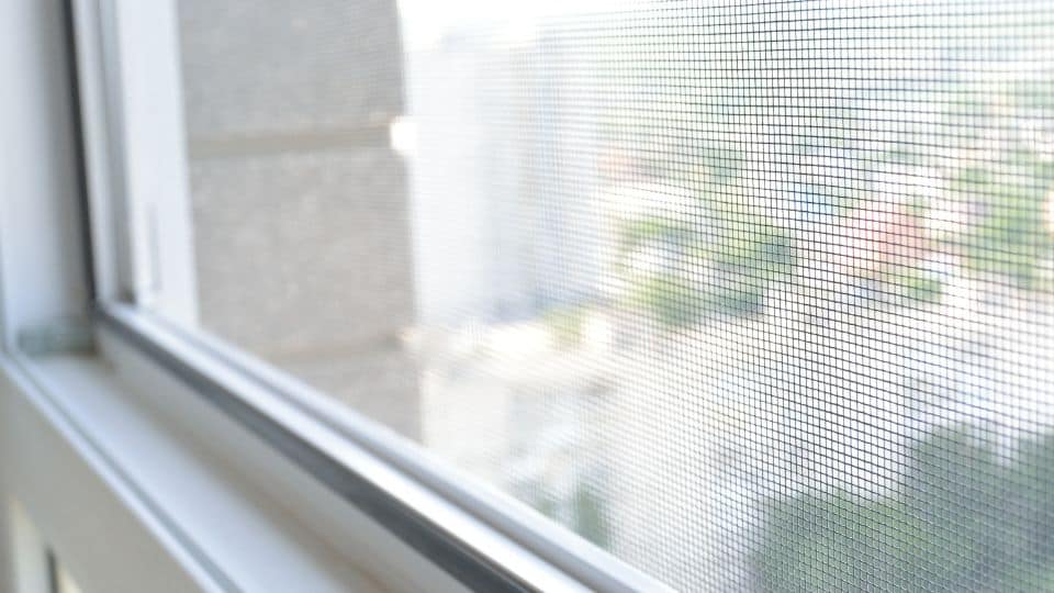 האם יש חברה להרחקת יונים המתמחה בבניינים?
